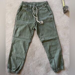 American Eagle Outfitters Green Cargo Pants